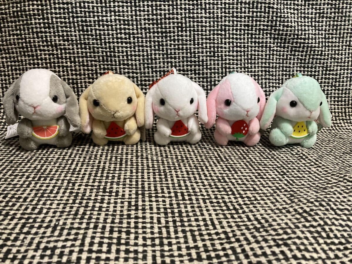 ぽてうさろっぴーもぐもぐシリーズ Amazon.co.jp: ぽてうさろっ